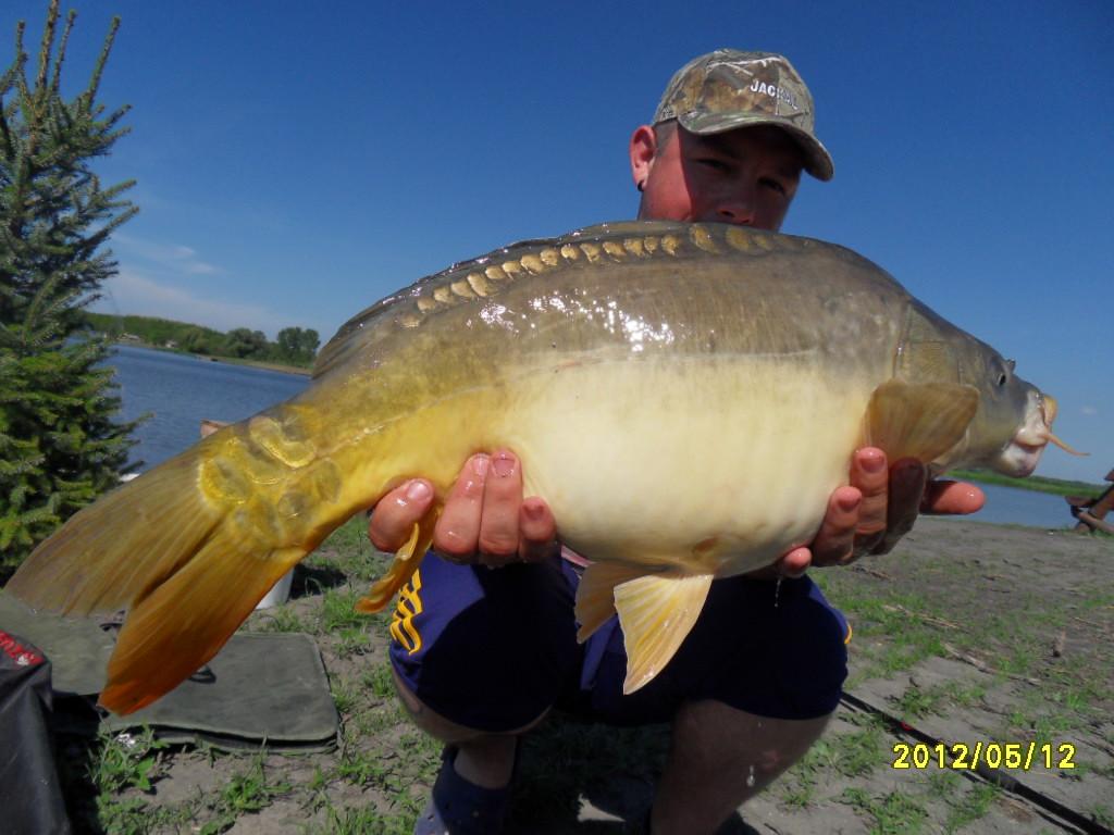 Ozetanya 2012 - sdc14258.JPG